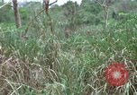 Image of American Army operation Vietnam, 1965, second 51 stock footage video 65675067097