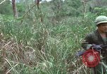 Image of American Army operation Vietnam, 1965, second 53 stock footage video 65675067097