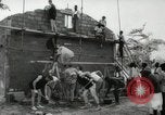 Immagine di Corpo di pace Washington DC USA, 1961, secondo 39 filmato di repertorio 65675067098