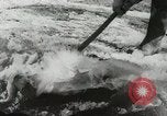 Image of 1936 floods in the United States United States USA, 1936, second 34 stock footage video 65675067099