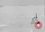 Image of American troops Greenland, 1954, second 20 stock footage video 65675067101