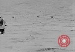 Image of American troops Greenland, 1954, second 51 stock footage video 65675067101