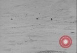 Image of American troops Greenland, 1954, second 52 stock footage video 65675067101