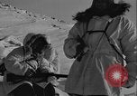 Image of American troops Greenland, 1954, second 8 stock footage video 65675067102