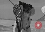 Image of American troops Greenland, 1954, second 16 stock footage video 65675067102