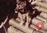 Image of Peleliu operation Peleliu Palau Islands, 1944, second 9 stock footage video 65675067109