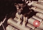 Image of Peleliu operation Peleliu Palau Islands, 1944, second 11 stock footage video 65675067109