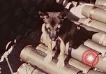 Image of Peleliu operation Peleliu Palau Islands, 1944, second 13 stock footage video 65675067109