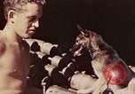 Image of Peleliu operation Peleliu Palau Islands, 1944, second 14 stock footage video 65675067109