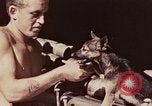 Image of Peleliu operation Peleliu Palau Islands, 1944, second 19 stock footage video 65675067109