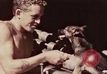 Image of Peleliu operation Peleliu Palau Islands, 1944, second 20 stock footage video 65675067109
