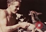 Image of Peleliu operation Peleliu Palau Islands, 1944, second 21 stock footage video 65675067109