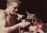 Image of Peleliu operation Peleliu Palau Islands, 1944, second 24 stock footage video 65675067109