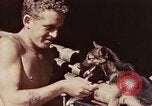 Image of Peleliu operation Peleliu Palau Islands, 1944, second 25 stock footage video 65675067109