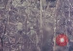 Image of Peleliu operation Peleliu Palau Islands, 1944, second 22 stock footage video 65675067110
