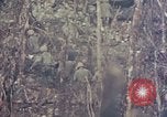 Image of Peleliu operation Peleliu Palau Islands, 1944, second 27 stock footage video 65675067110