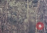 Image of Peleliu operation Peleliu Palau Islands, 1944, second 29 stock footage video 65675067110