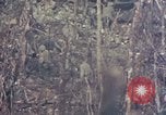 Image of Peleliu operation Peleliu Palau Islands, 1944, second 30 stock footage video 65675067110
