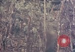 Image of Peleliu operation Peleliu Palau Islands, 1944, second 31 stock footage video 65675067110