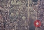 Image of Peleliu operation Peleliu Palau Islands, 1944, second 34 stock footage video 65675067110