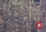 Image of Peleliu operation Peleliu Palau Islands, 1944, second 35 stock footage video 65675067110