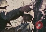 Image of Peleliu operation Peleliu Palau Islands, 1944, second 44 stock footage video 65675067110