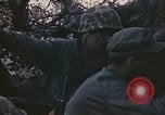 Image of Peleliu operation Peleliu Palau Islands, 1944, second 50 stock footage video 65675067110