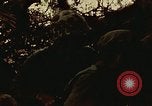 Image of Peleliu operation Peleliu Palau Islands, 1944, second 56 stock footage video 65675067110