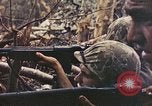 Image of Peleliu operation Peleliu Palau Islands, 1944, second 60 stock footage video 65675067110