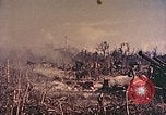 Standbild Peleliu Betrieb Peleliu Palau Inseln, 1944, aus Sekunde 55 historischem Filmmaterial Videoclip 65675067111