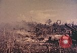 Standbild Peleliu Betrieb Peleliu Palau Inseln, 1944, aus Sekunde 56 historischem Filmmaterial Videoclip 65675067111