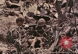 Standbild Peleliu Betrieb Peleliu Palau Inseln, 1944, aus Sekunde 44 historischem Filmmaterial Videoclip 65675067112