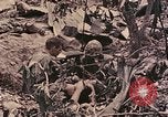Standbild Peleliu Betrieb Peleliu Palau Inseln, 1944, aus Sekunde 45 historischem Filmmaterial Videoclip 65675067112