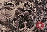 Standbild Peleliu Betrieb Peleliu Palau Inseln, 1944, aus Sekunde 48 historischem Filmmaterial Videoclip 65675067112