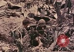 Standbild Peleliu Betrieb Peleliu Palau Inseln, 1944, aus Sekunde 49 historischem Filmmaterial Videoclip 65675067112