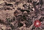 Standbild Peleliu Betrieb Peleliu Palau Inseln, 1944, aus Sekunde 50 historischem Filmmaterial Videoclip 65675067112