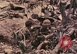 Standbild Peleliu Betrieb Peleliu Palau Inseln, 1944, aus Sekunde 51 historischem Filmmaterial Videoclip 65675067112