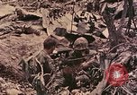 Standbild Peleliu Betrieb Peleliu Palau Inseln, 1944, aus Sekunde 52 historischem Filmmaterial Videoclip 65675067112