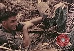 Standbild Peleliu Betrieb Peleliu Palau Inseln, 1944, aus Sekunde 54 historischem Filmmaterial Videoclip 65675067112
