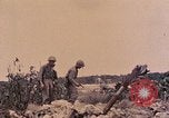 Image of Peleliu operation Peleliu Palau Islands, 1944, second 9 stock footage video 65675067113