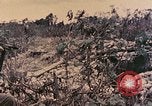 Image of Peleliu operation Peleliu Palau Islands, 1944, second 39 stock footage video 65675067113