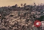 Image of Peleliu operation Peleliu Palau Islands, 1944, second 43 stock footage video 65675067113