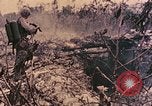 Image of Peleliu operation Peleliu Palau Islands, 1944, second 53 stock footage video 65675067113