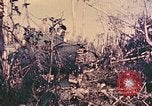 Image of Peleliu operation Peleliu Palau Islands, 1944, second 10 stock footage video 65675067114