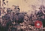 Image of Peleliu operation Peleliu Palau Islands, 1944, second 11 stock footage video 65675067114