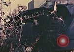 Image of Peleliu operation Peleliu Palau Islands, 1944, second 18 stock footage video 65675067114