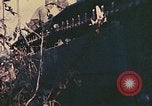 Image of Peleliu operation Peleliu Palau Islands, 1944, second 19 stock footage video 65675067114