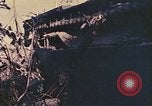 Image of Peleliu operation Peleliu Palau Islands, 1944, second 22 stock footage video 65675067114