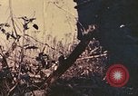 Image of Peleliu operation Peleliu Palau Islands, 1944, second 24 stock footage video 65675067114
