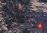 Image of Peleliu operation Peleliu Palau Islands, 1944, second 36 stock footage video 65675067114